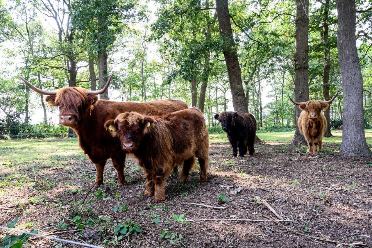 Glamping Renswoude Hotel Buitenkant foto